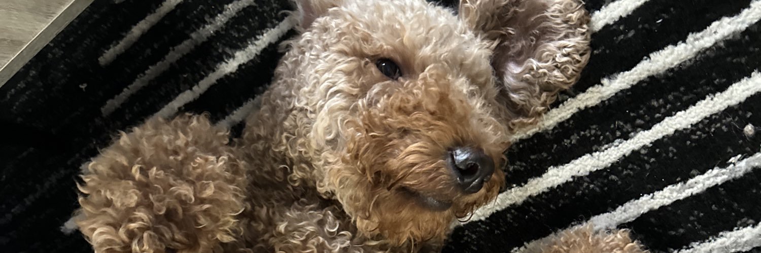 Prats banner