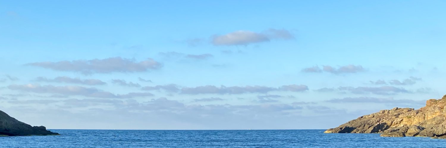 zeyneppkockaya's profile banner image