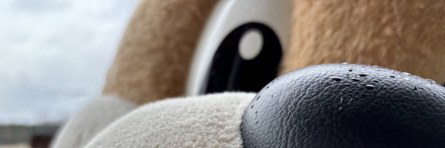 りょうすけ🦥 banner