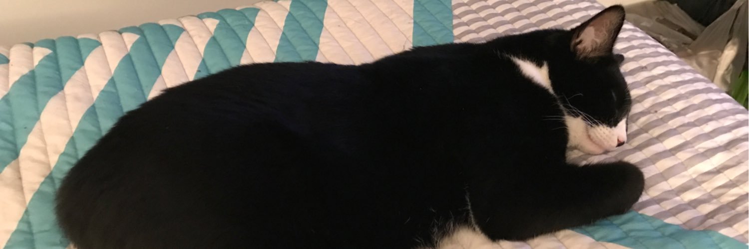 vreyome87's profile banner image