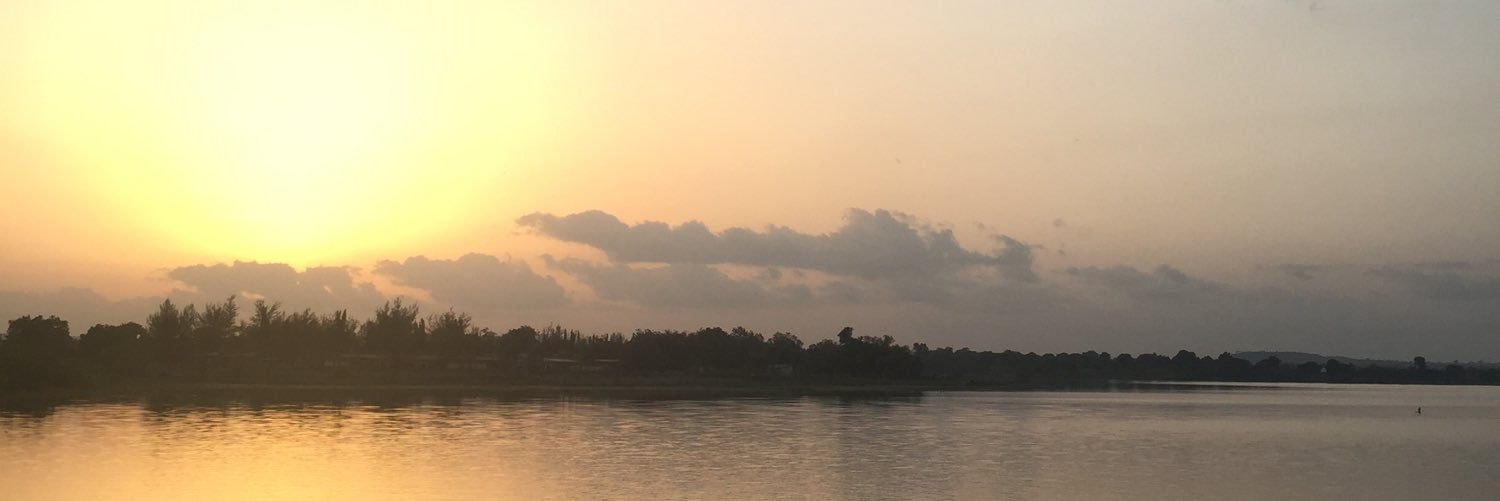 LionOfZuru's profile banner image