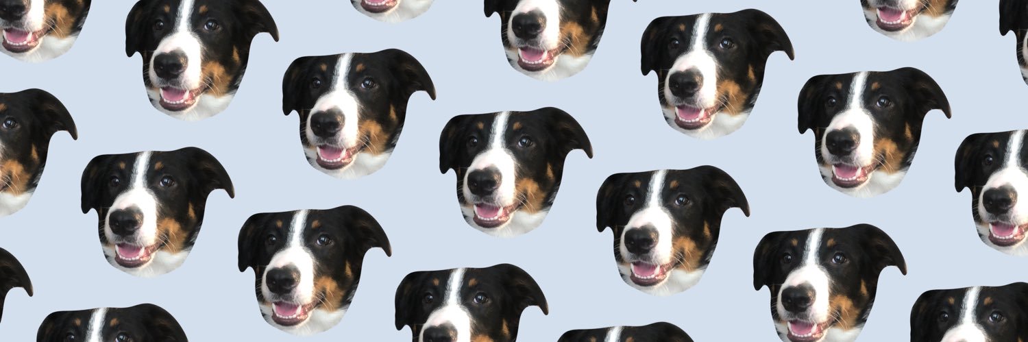 SchoonShady's profile banner image