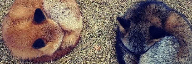 20Nut_Meg14's profile banner image