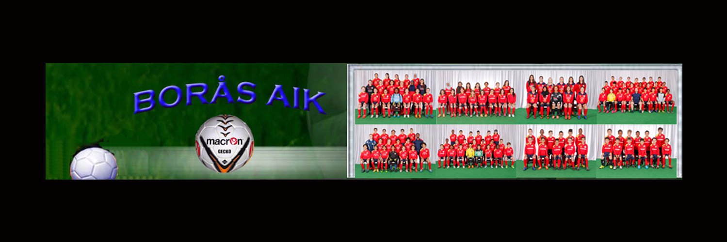 BORÅS AIK banner