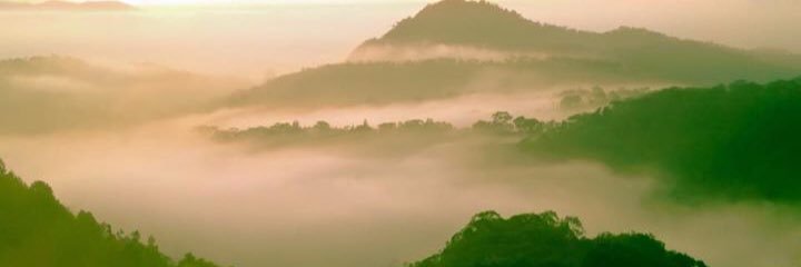 davidminhmang90's profile banner image