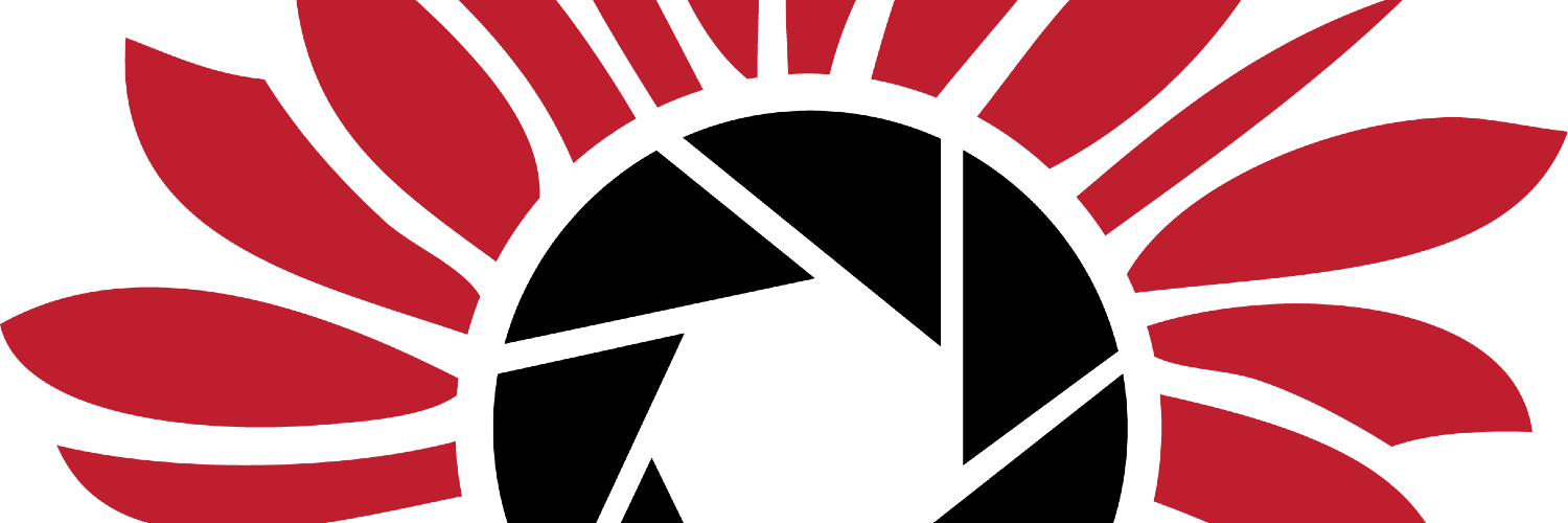 WinchesterRed's profile banner image