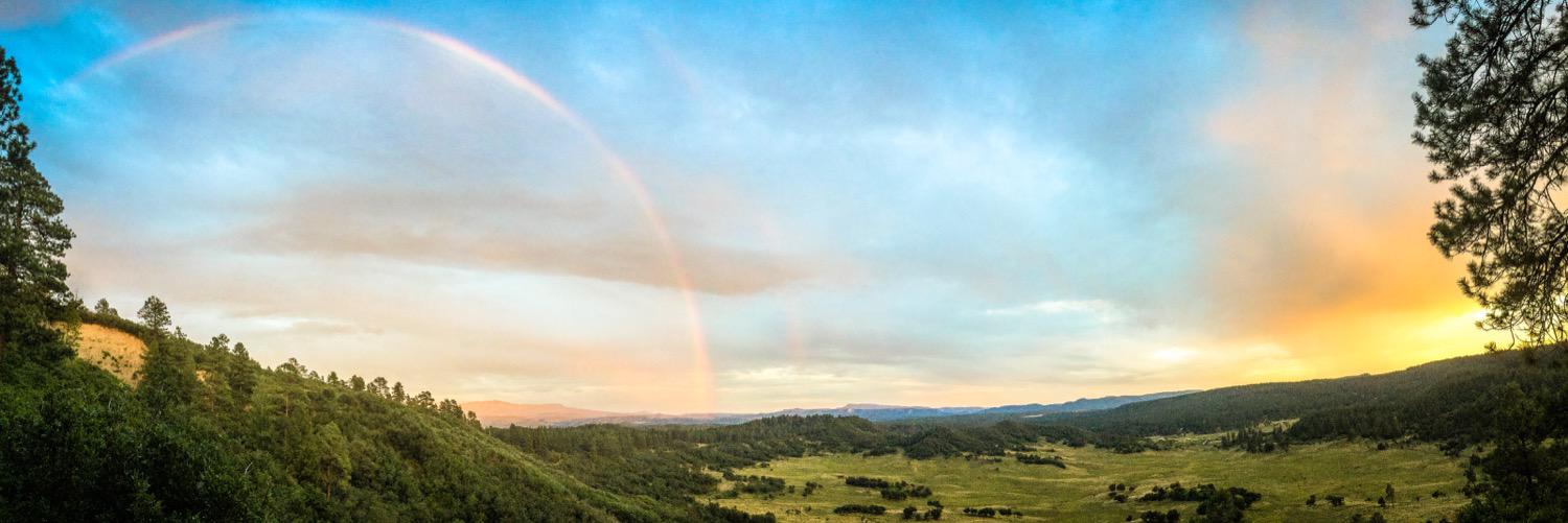 Sean_Rivero's profile banner image