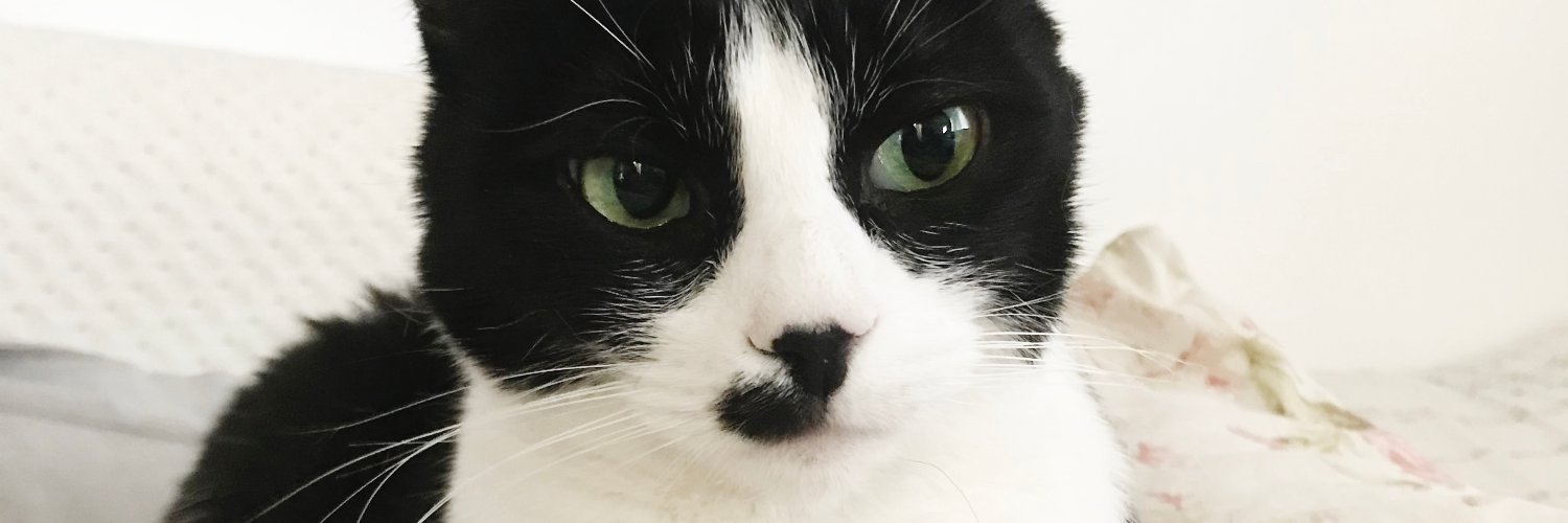 eunique_kollect's profile banner image