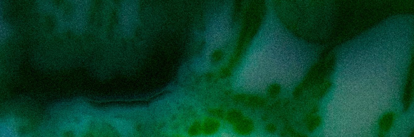 interlewdd_'s profile banner image