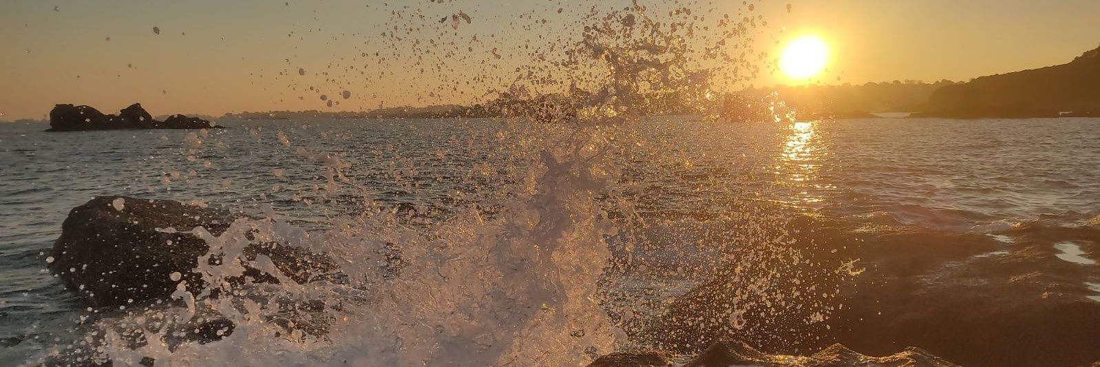 Franck Nicolon banner