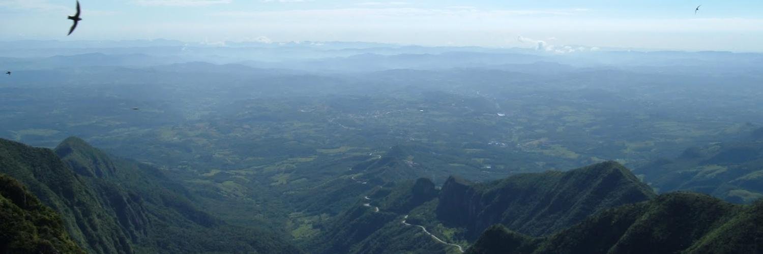 Osvaldo Pinali Doederlein banner