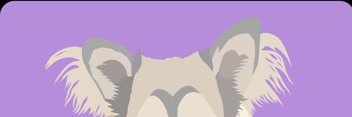 ShaySarauer's profile banner image
