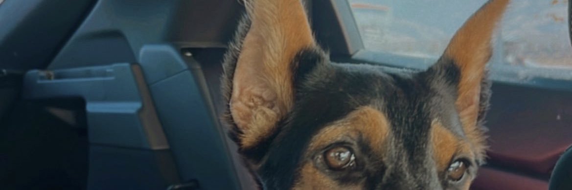 m3sauce's profile banner image