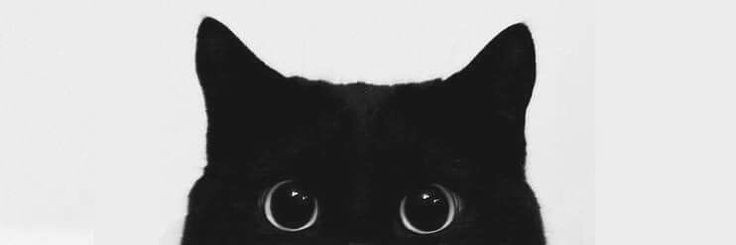 _Lunane's profile banner image
