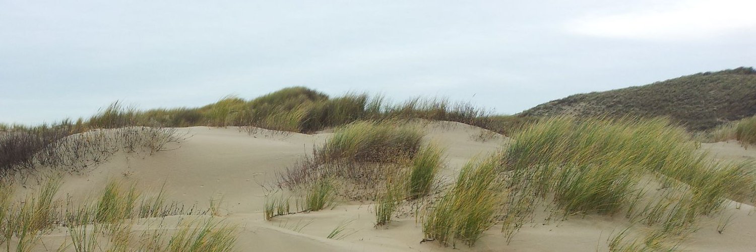 Geert_Koning's profile banner image