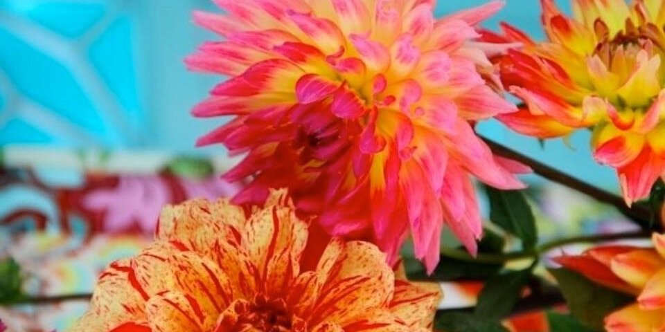 emilyriter's profile banner image