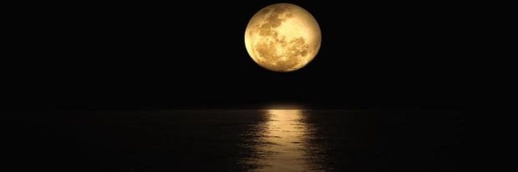 yeselyn_4's profile banner image