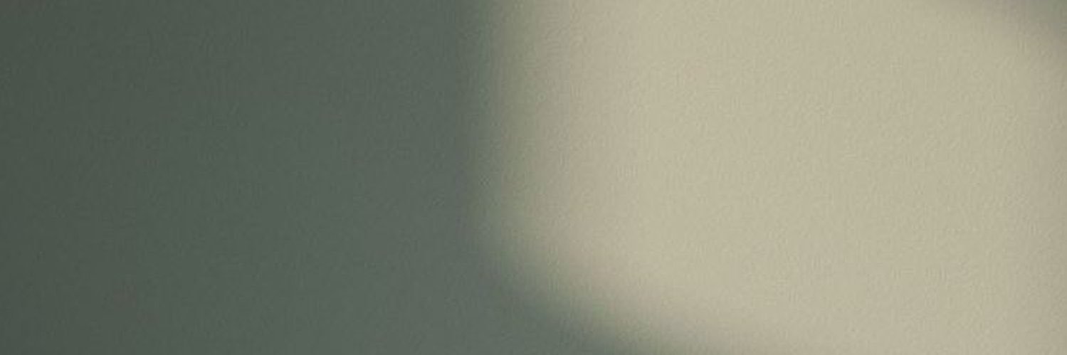 11_allli's profile banner image