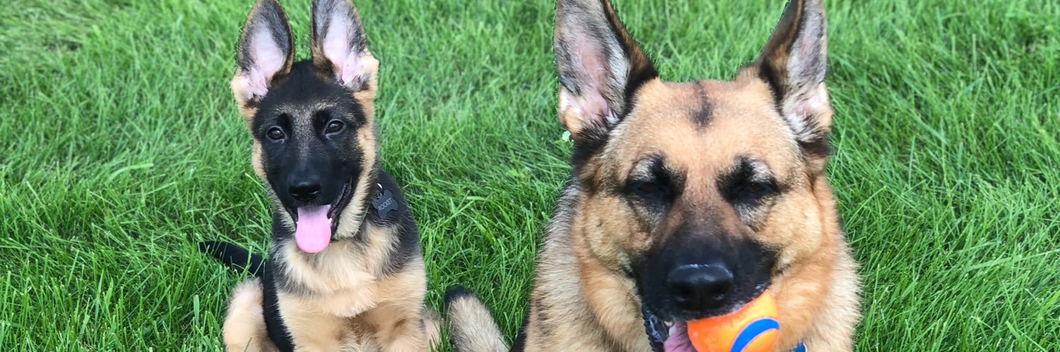 Mark Leiter Jr banner