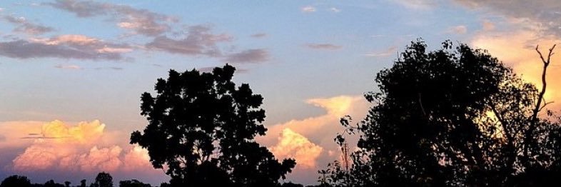 user583629538's profile banner image