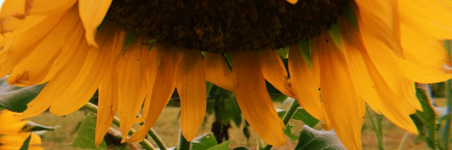 messythotsbya_'s profile banner image