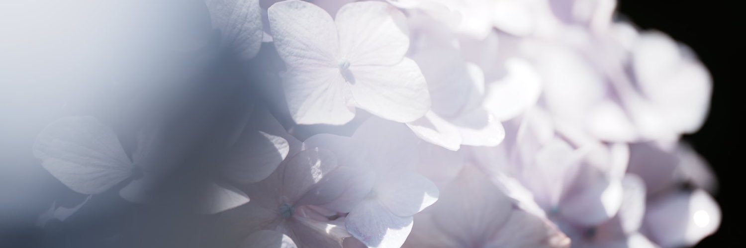 ayase_gbf's profile banner image