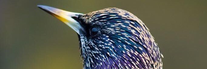 badr112211's profile banner image