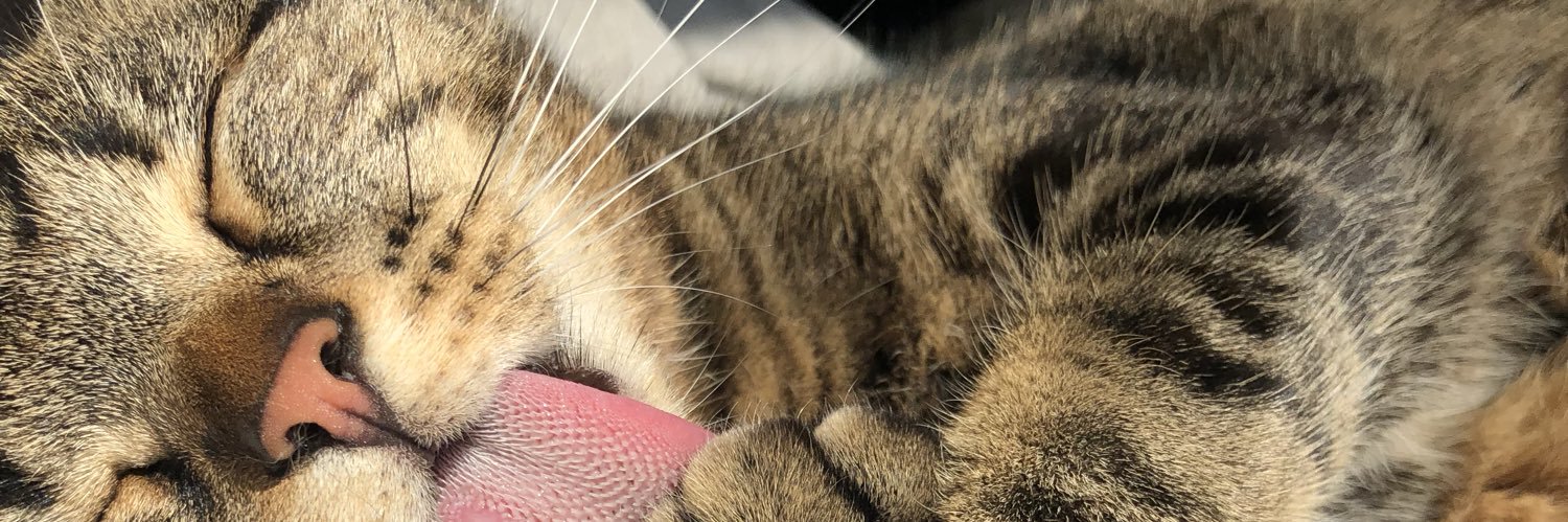 silkedesaeger's profile banner image