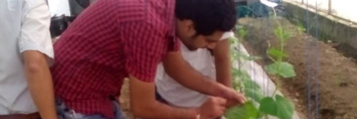 rajeevrsf's profile banner image