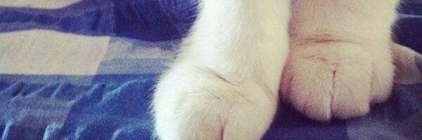 JESISCHRIST Profile Banner