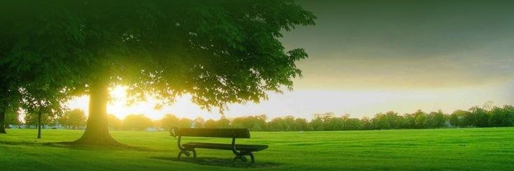 vikas2ydv's profile banner image