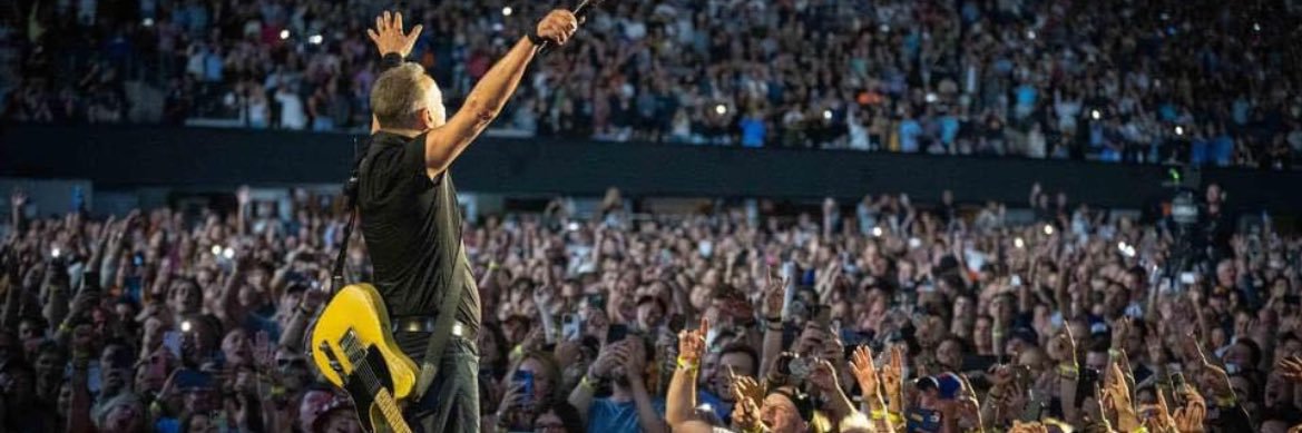 Megan O'Brien banner