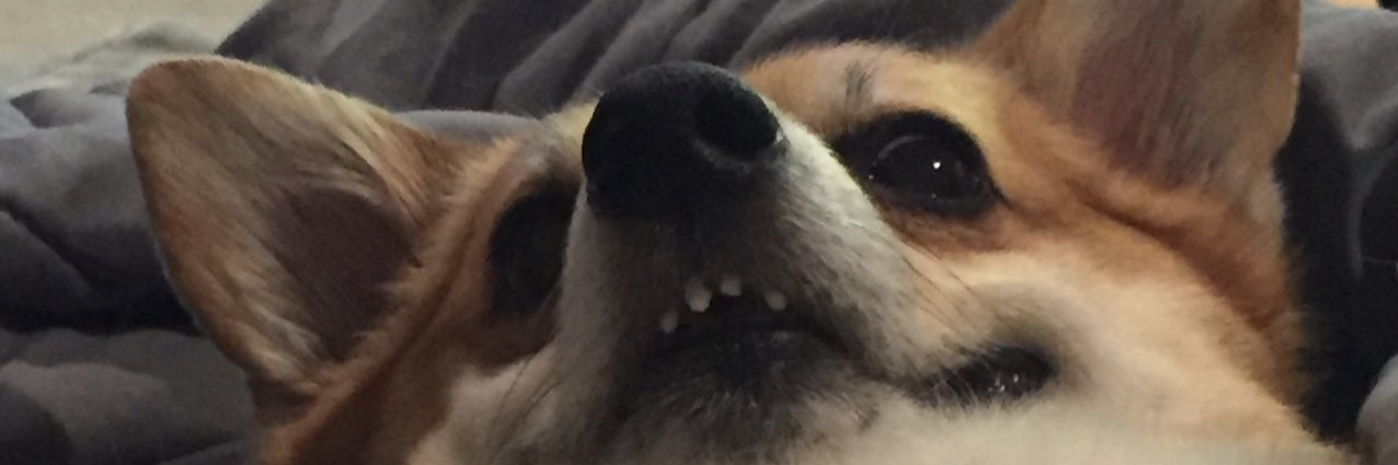 AngelaAshe's profile banner image