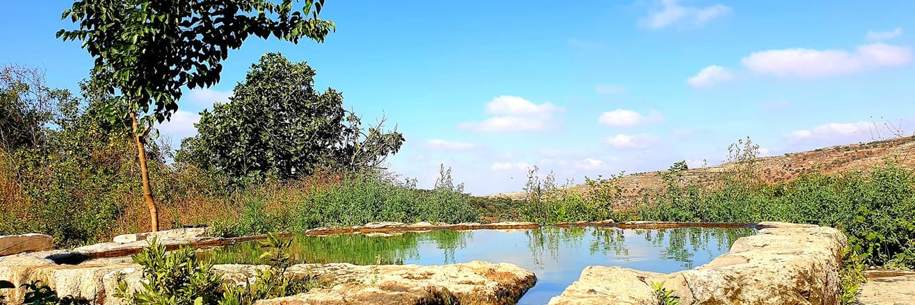 European Janusz Korczak Academy banner