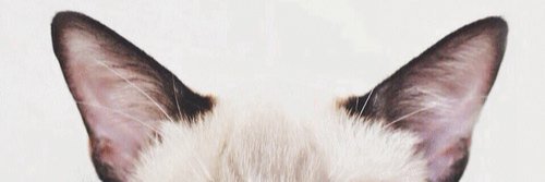 6mm_ng's profile banner image