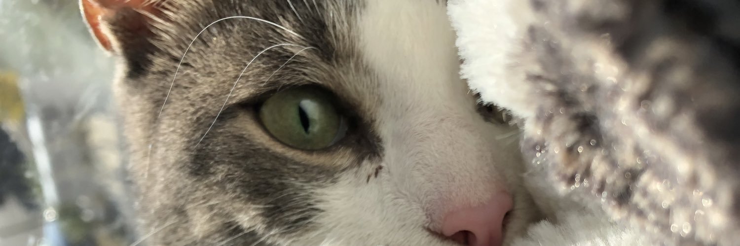 ApplesReptar's profile banner image