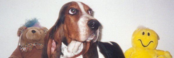 Ğůĭ Ĉą Lø banner