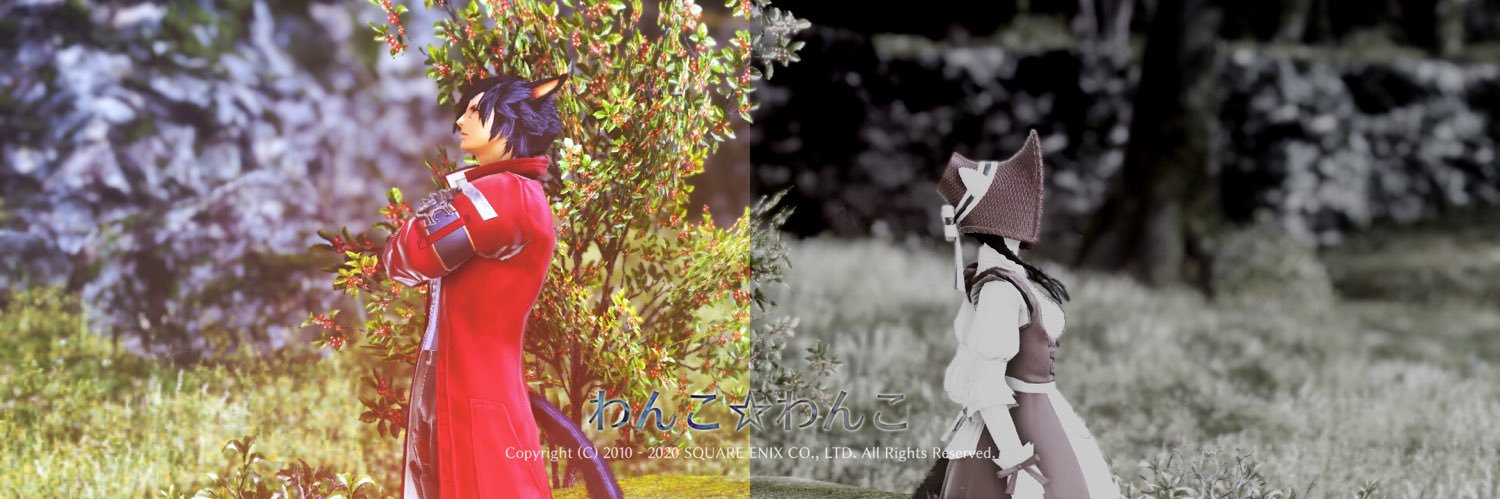 ﾔ-----‼︎ banner