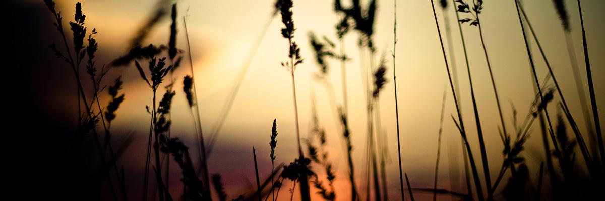 valerqn91's profile banner image