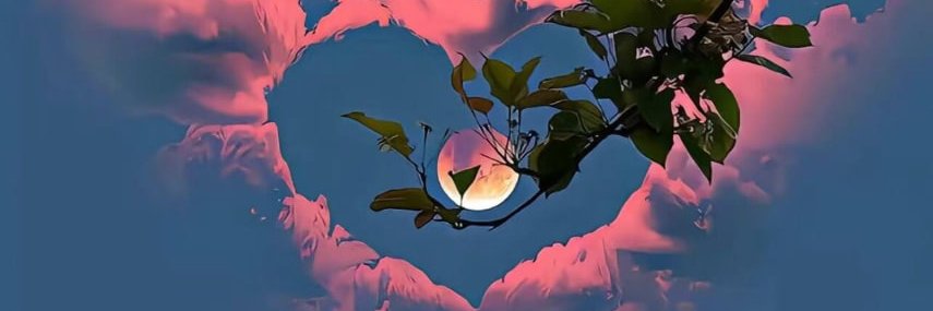 JsdhSSpl's profile banner image