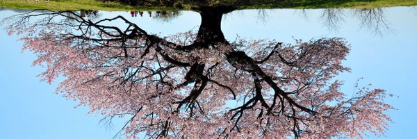 Citizen2600 Profile Banner