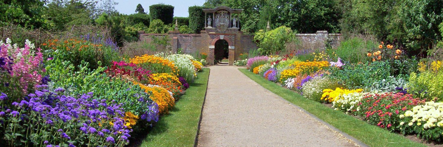 LyonsLearningProject banner