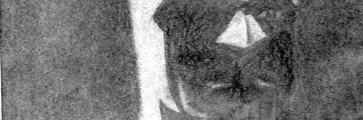 Caost2022's profile banner image