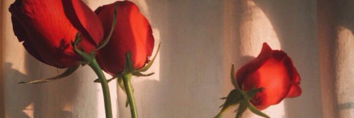 advnetta's profile banner image