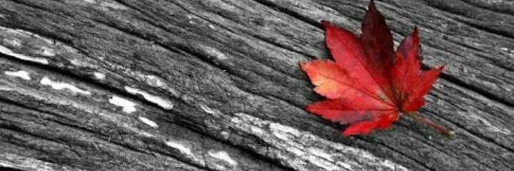 Socialworker_0's profile banner image