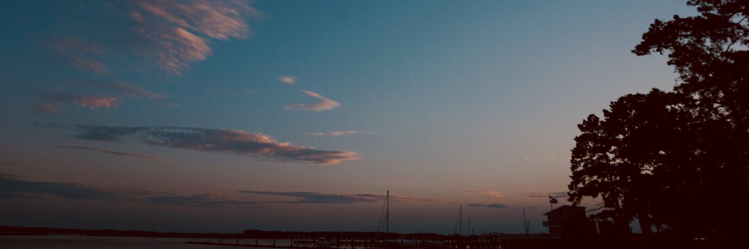 minimichhh's profile banner image