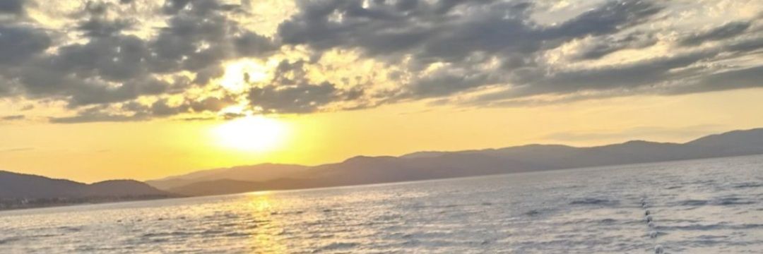 nrturkmen's profile banner image