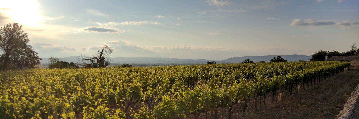 Fave Pierre-Jean banner