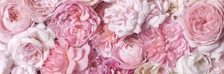 Menmence54's profile banner image