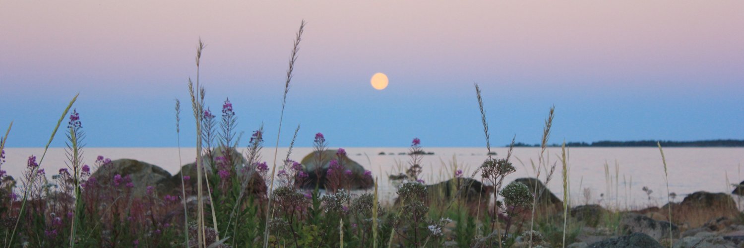 LarsForsberg's profile banner image